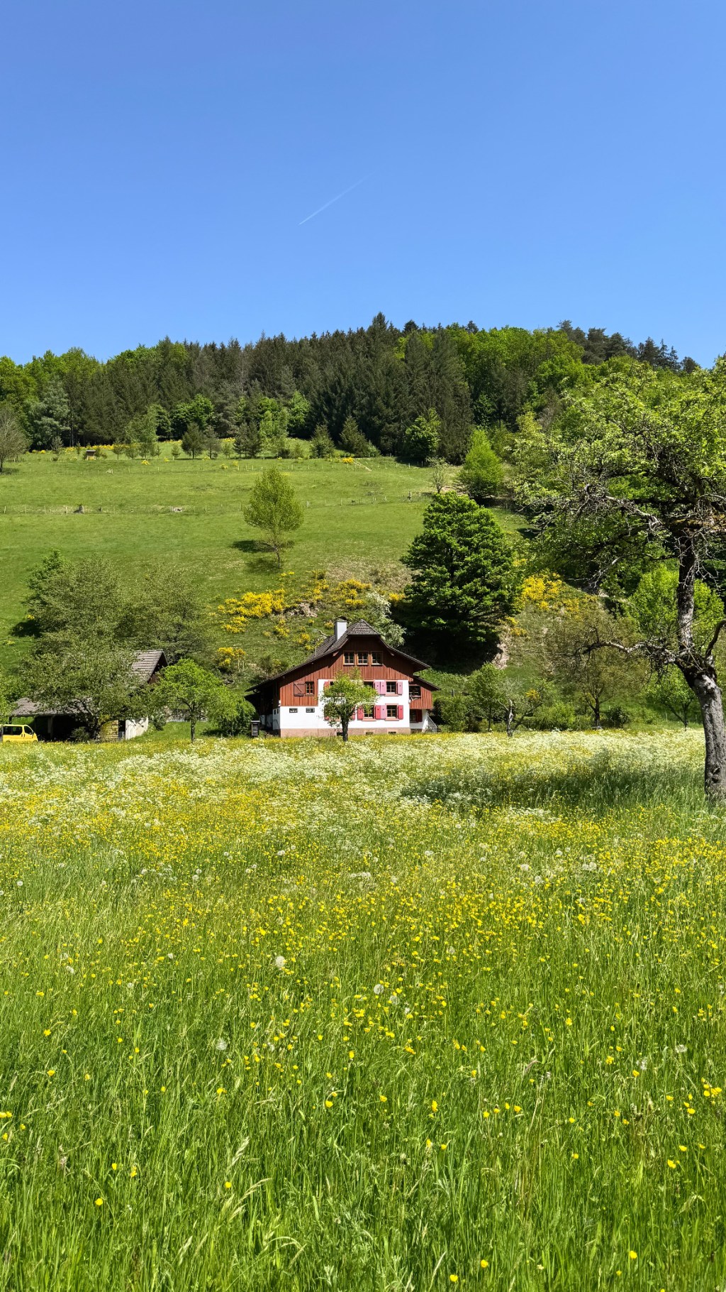 Wie gute Orte uns prägen: Die Geheimnisse des&nbsp;Wohlfühlens