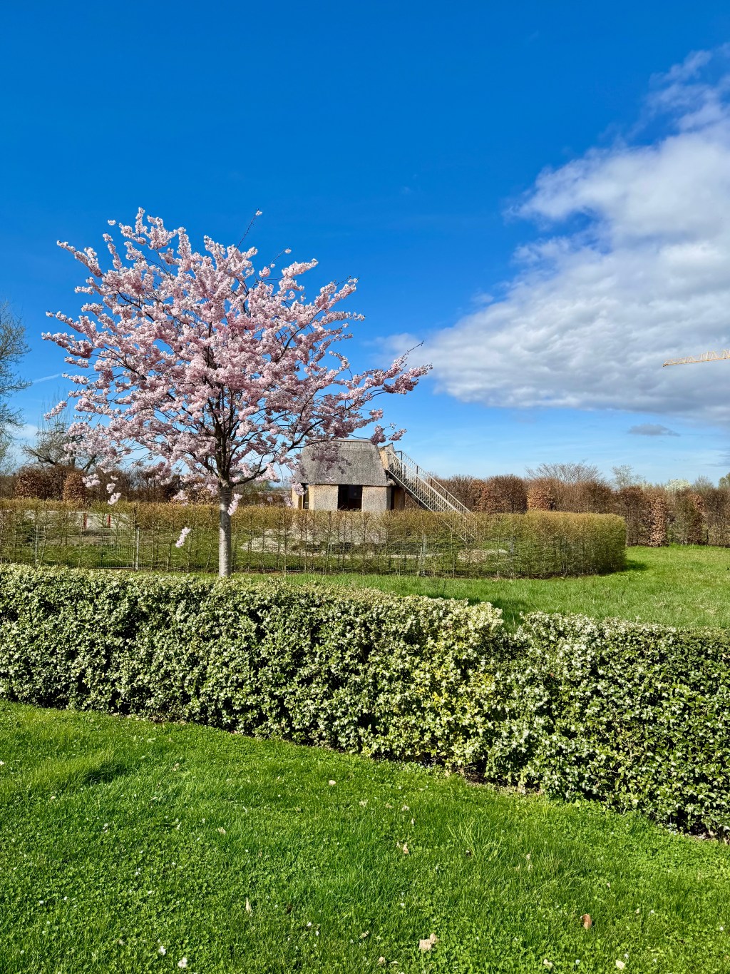 Ist der Frühling grün vor&nbsp;Neid?