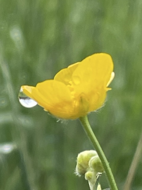 Wenn du dem Frühling eine Farbpalette geben müsstest, welche drei Töne wären&nbsp;es?